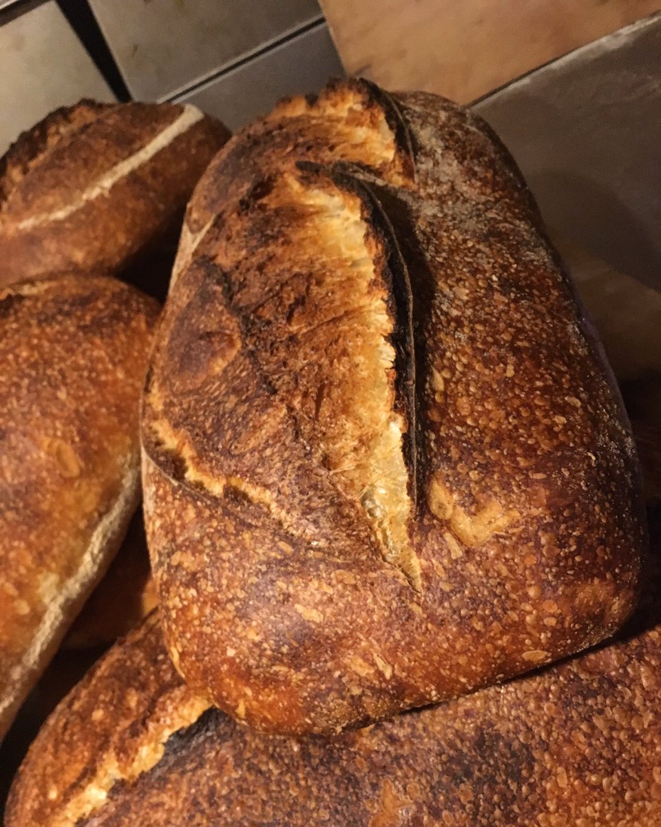 GrainAndHearth's tweet photo. Apparently it's #worldbreadday. For bakers that means just another day. Anyway. Here's some bread I baked today. #WorldBreadDay2017 https://t.co/seoxkQVUz2