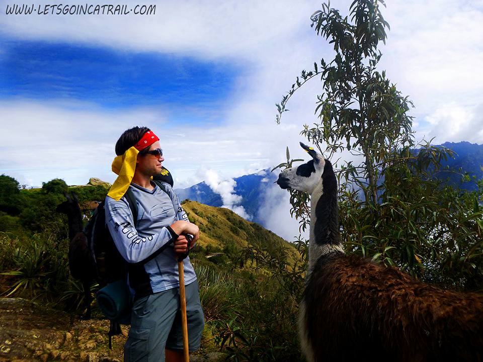 letsgoincatrail's tweet photo. Machu Picchu 2018 #incatrail #letsgoincatrail #trek #trekking #hike #machupicchu #machupicchutravel https://t.co/J0sA7onrqc