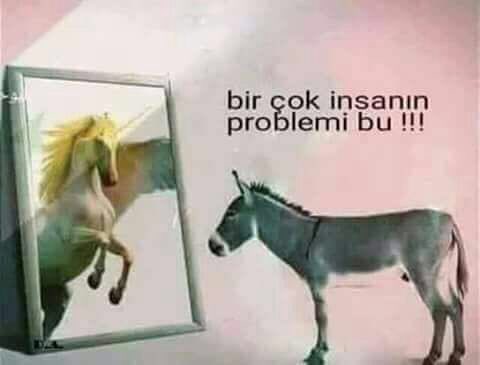 @Birol_Oztur @akyoll61 @serkantopalchp @oguzksalici Chp nin problemi de bu olsa gerek