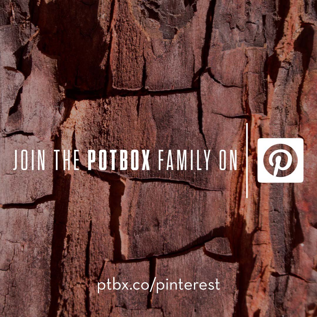 Are you on Pinterest? 📌Come join us! ptbx.co/pinterest #mmj #sf #la