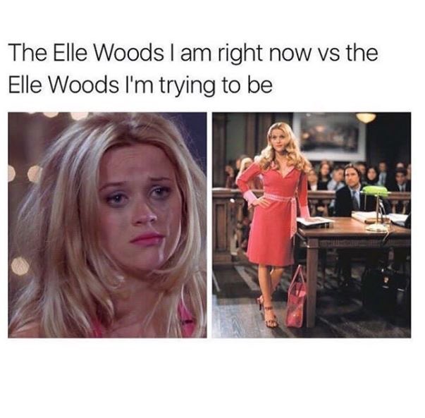 MadsC33's tweet photo. 🙌🏽🙌🏽 #legallyblonde https://t.co/sNohGkMYr6