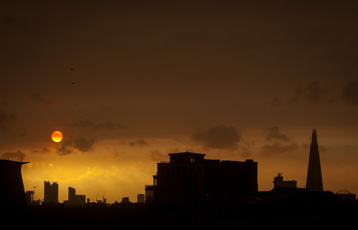 getting in that blade runner mood #redsun #ophelia