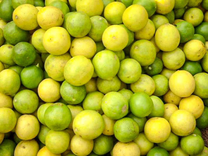 DaSpriteHandMan's tweet photo. Delicious and nutritious ingedients make the classiest soft drink around #lemonlimegoodness
#spritemvmnt
#spritelife
#SPRITEGANG
#sprite https://t.co/spkKaxeIWw