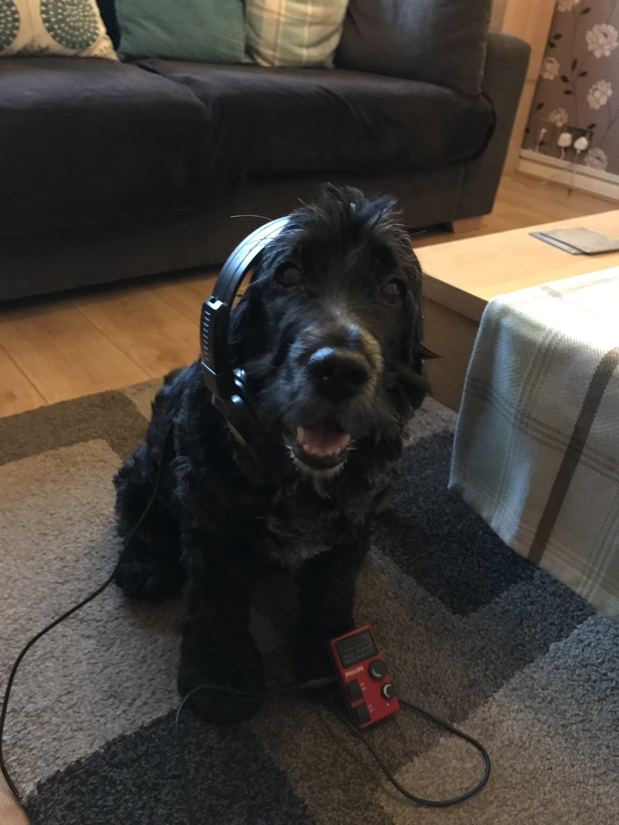 Phoebe enjoying Pirate Radio on @ThisIsLSR  <a href="/cactimom/">Jennie Balcolm</a>