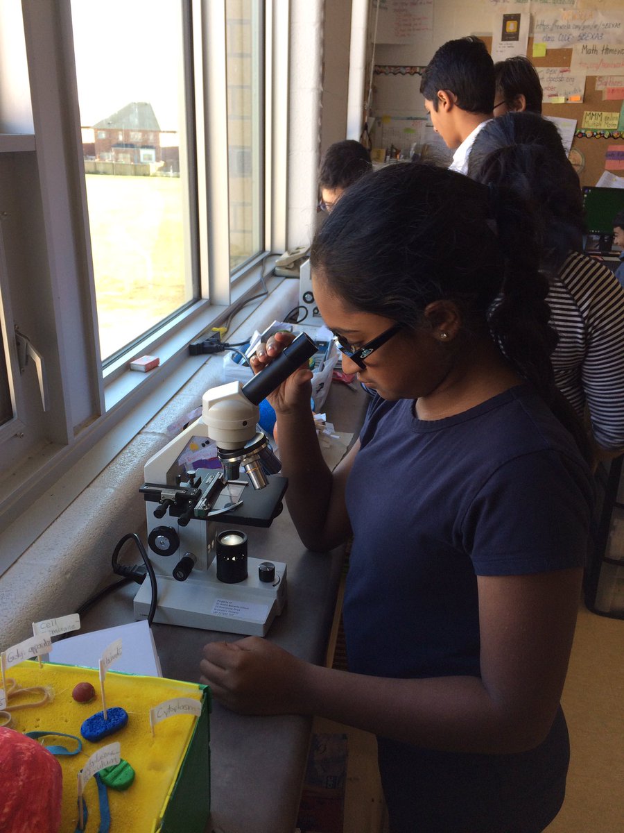 Grade 8 science--microscope inquiry