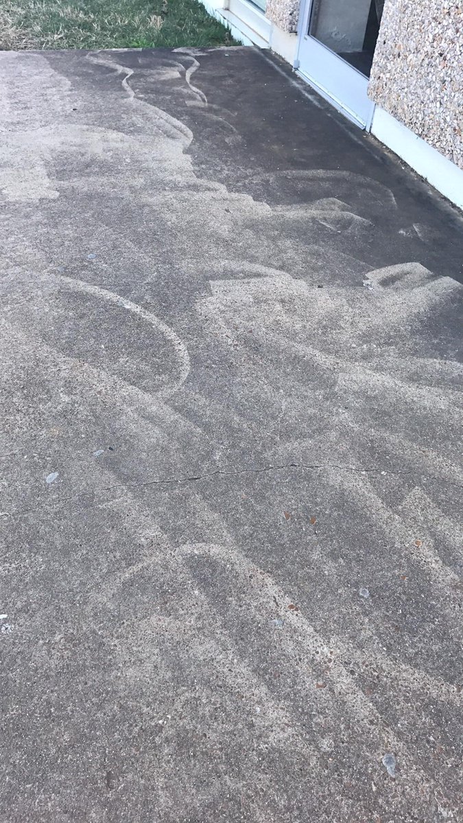 PowerWashingWow's tweet image. SHIELD_YOUR_EYES__This_despicable_piece_of_wo #Powerwashing