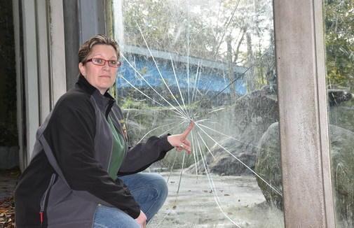 Riss im Panzerglas des Eisbären-Bassins im Tierpark #Neumünster - Ursache unklar  ebx.sh/2kS8NYG https://t.co/Zc0Q0eZKPs