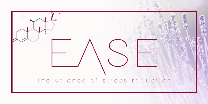 easeforwork's tweet image. Learn about the customizable corporate training and team-building sessions we offer: ow.ly/NVPe30fRocn #WorkWithEase