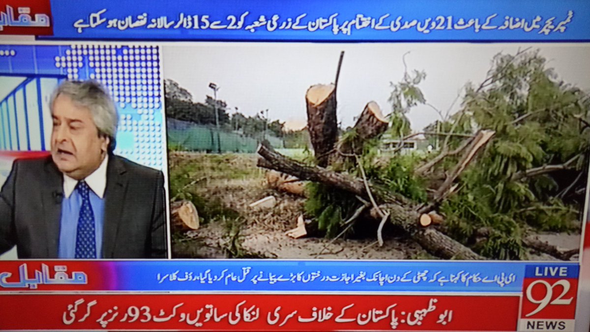 KismatZimri's tweet photo. Cutting trees is killing them...: @AmirMateen2 @KlasraRauf @92newschannel @sarwatvalim https://t.co/pLbMNwQEvt
