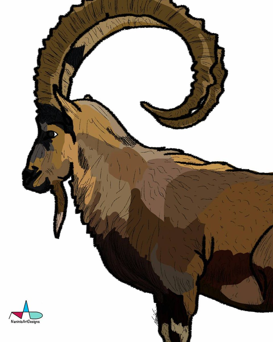 #16 INKTOBER -Step 3 #nubianibex #ibex #kenyanart #horns #antelope #inktoberafrica #inktober2017 #inktober #wildlife #digitalart @inktober