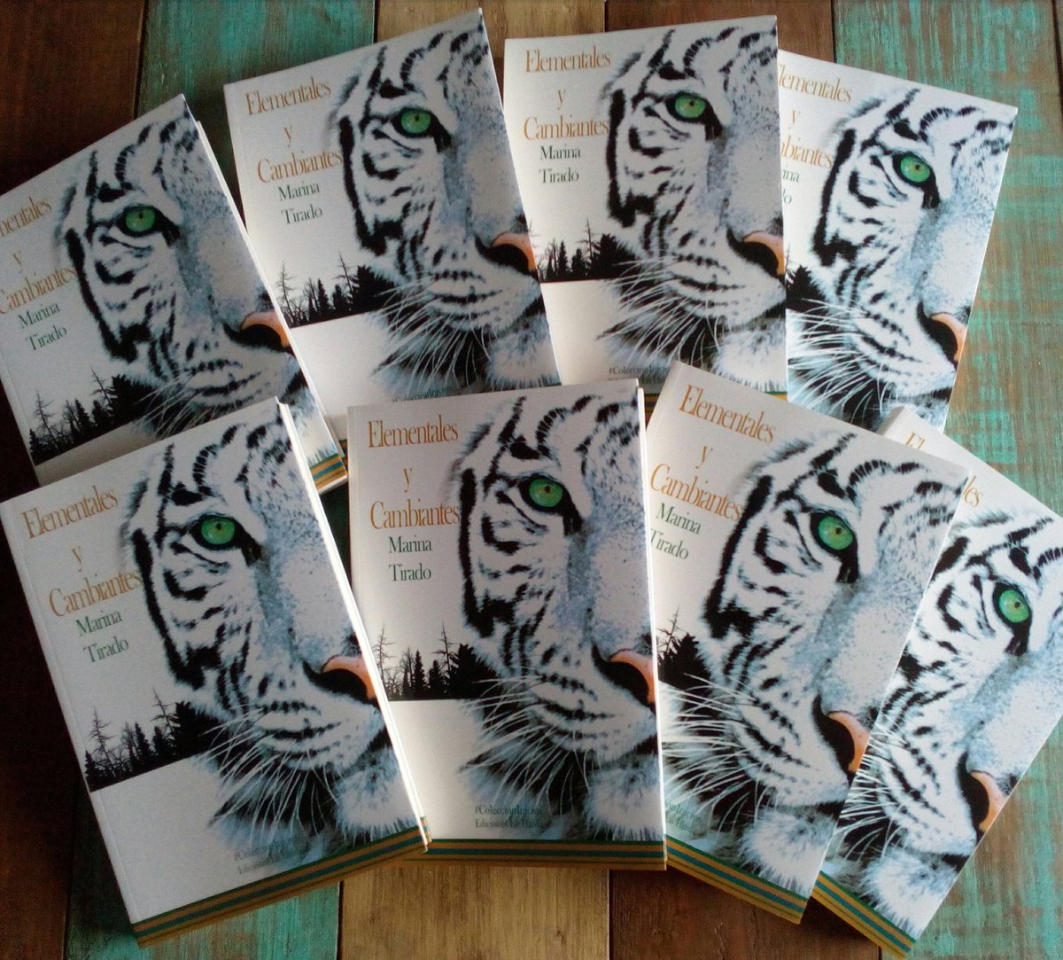 mita_marco's tweet photo. #ElementalesyCambiantes #eyc #fisico #diadelasescritoras #TeamliterarioES #FelizLunes #lee @edenhuida #literatura https://t.co/7P7WkCWUvU https://t.co/J2HhZaZb5J