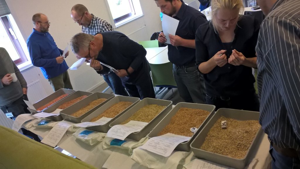 AdFioole's tweet photo. Afgelopen week opfristraining bemonstering en certificering zaaizaden voor jonge en nieuwe keurmeesters NAK https://t.co/dcNrtMHWem