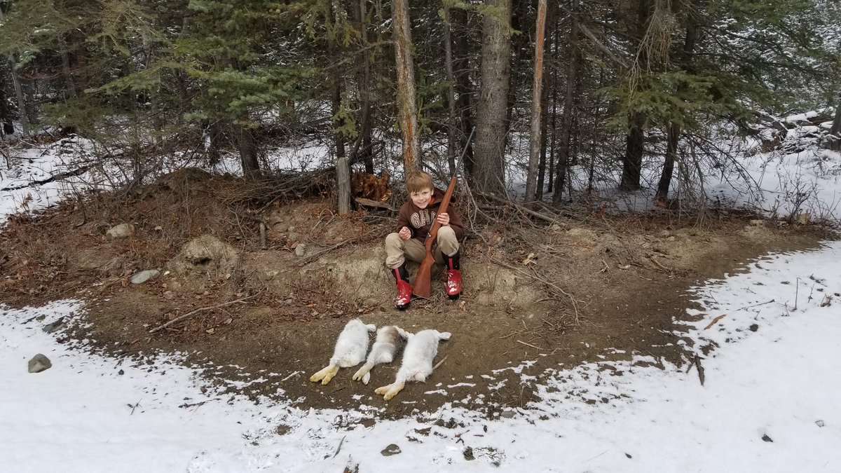 tuffkidsAK's tweet photo. Successful weekend, snowshoe hares for supper! #proudmom #hunting #huntingwithkids #huntinghares #snowshoehare #410 #raisemright #tuffkids https://t.co/p1OBwy9E9b
