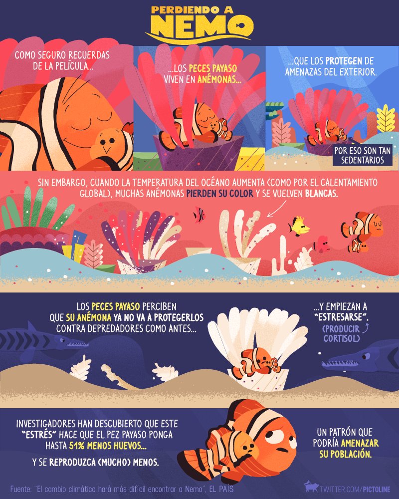 Perdiendo a Nemo: cómo el aumento de la temperatura en los océanos podría poner en peligro el futuro del pez payaso 😔 🐟