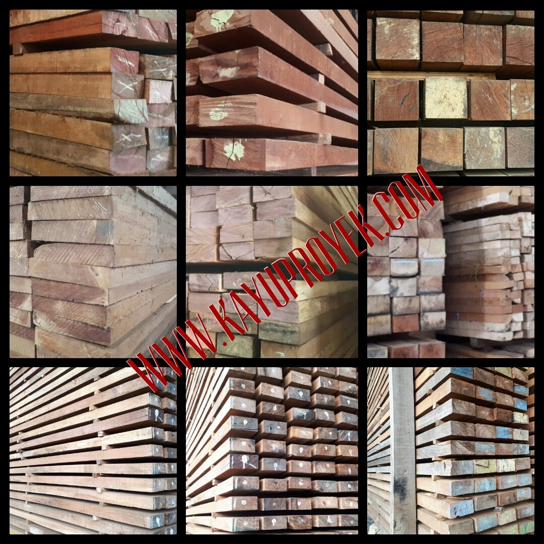 KayuProyek's tweet photo. Batuh segala macam jenis kayu ?
Di https://t.co/i8doAkqyw2 aja
Solusi kebutuhan kayu anda.!

Pribumi https://t.co/gxsg4fTDOH