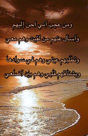 AlemVision's tweet image. 