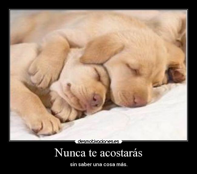 Lidia_G_S's tweet photo. Yeahh!!!! Lecciones que te da la vida 💪🏼 https://t.co/xOtiX1FOOS