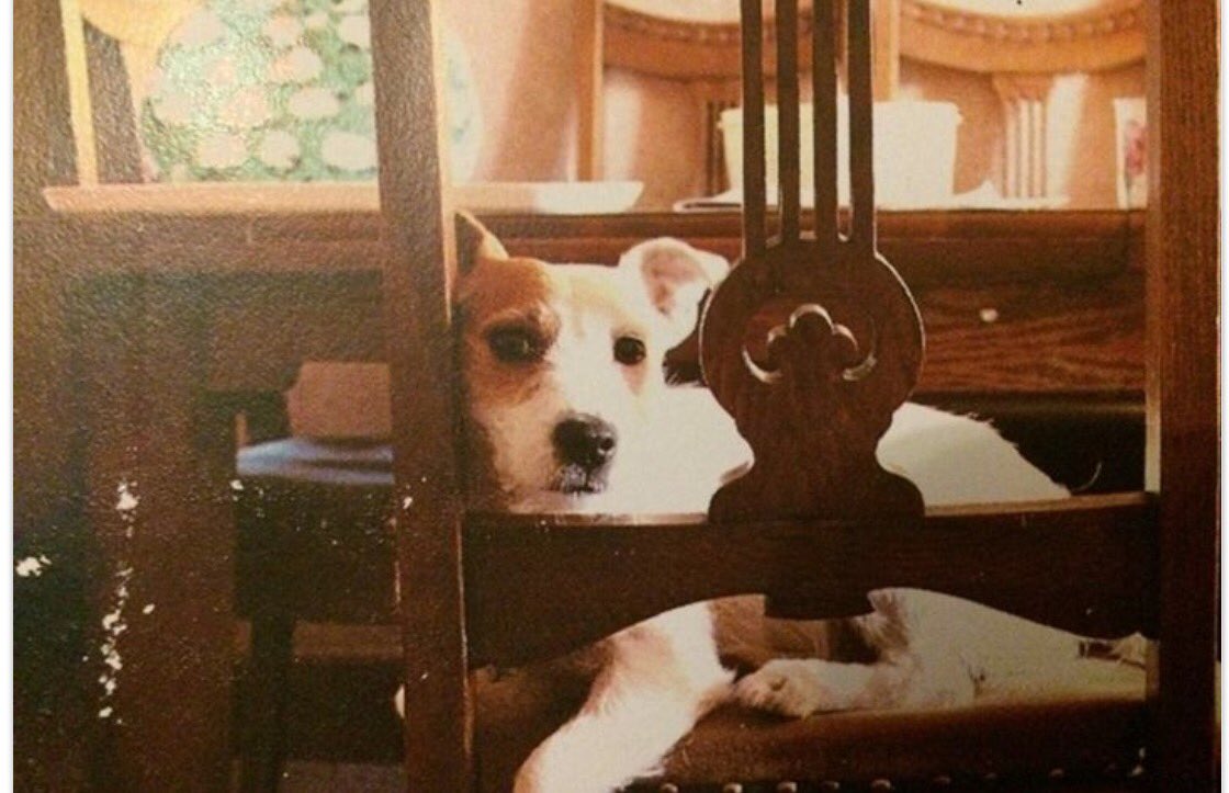 oldandfeelit's tweet photo. Pls Rt @OPALlandegla @LlandeglaCom @CampLlandegla @LlandeglaC @landeglafishery @llandegla @DenbighshireDay @DenbighshireFP #FindPatch https://t.co/Oje3tpnXAJ