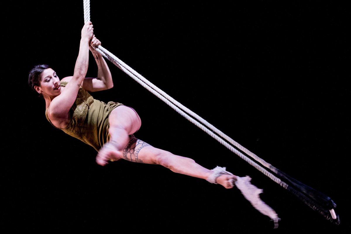 Acrobatic Conundrum tweet media