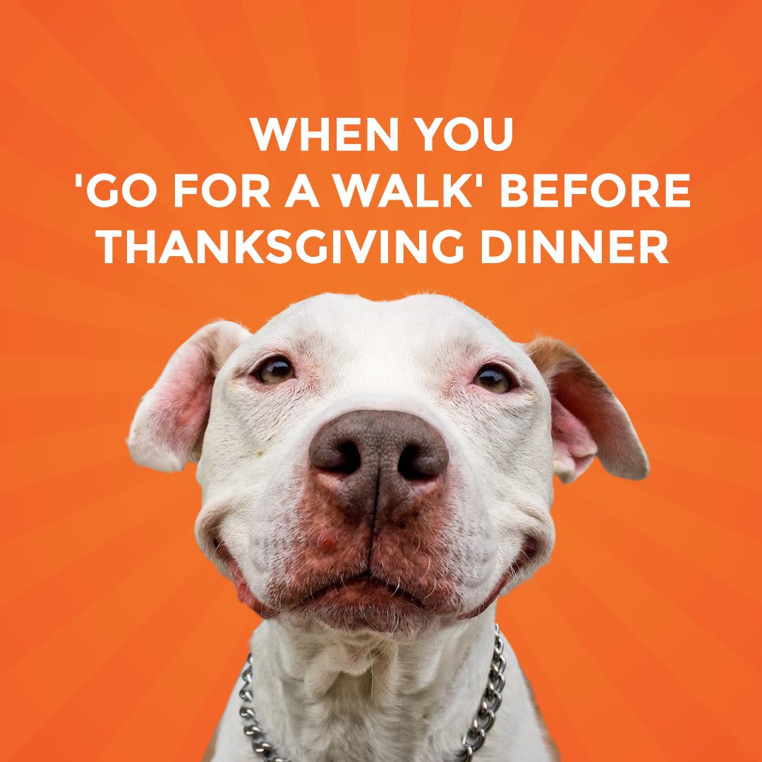 Happyfacebrand's tweet photo. When you eat good, you feel good. Happy mind, happy life! #HappyFaceVape #HappyFaceBrand #HappyFaceTime #Vaping #HighSociety https://t.co/gQhx0sIgWz