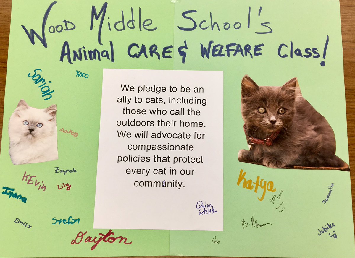 teachaboutpets's tweet photo. Happy Global Cat Day!  Students pledged to continue their advocacy for cats! @alleycatallies https://t.co/JttR6kUjZp