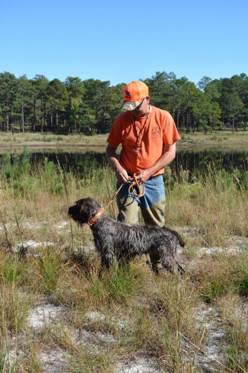 clemweld's tweet image. Uma scores a prize 1 112 @ our local Navhda NA test. Good girl. #navhda#wirehairedpointinggriffon