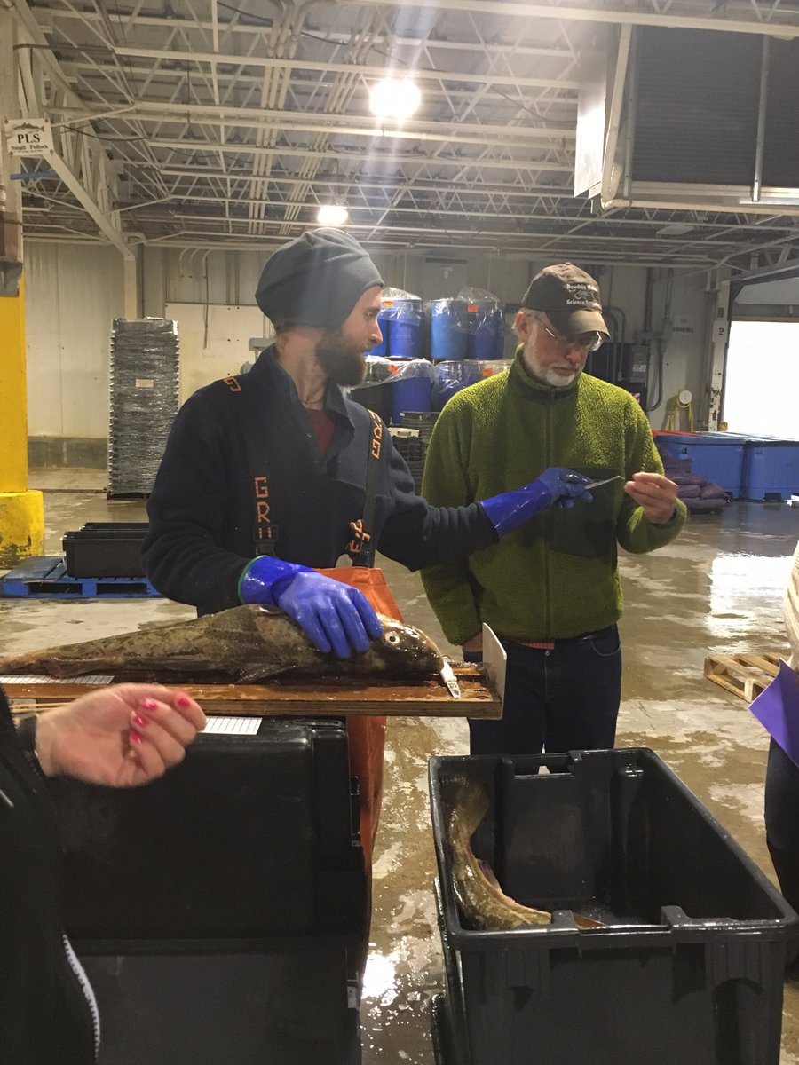 bowdoinscsc's tweet photo. #BMSS2017 visited the Portland Fish Exchange to learn about economics of marine science. TYJodie York for being our guide. #Bowdoincollege https://t.co/9ZAu6dMbzN