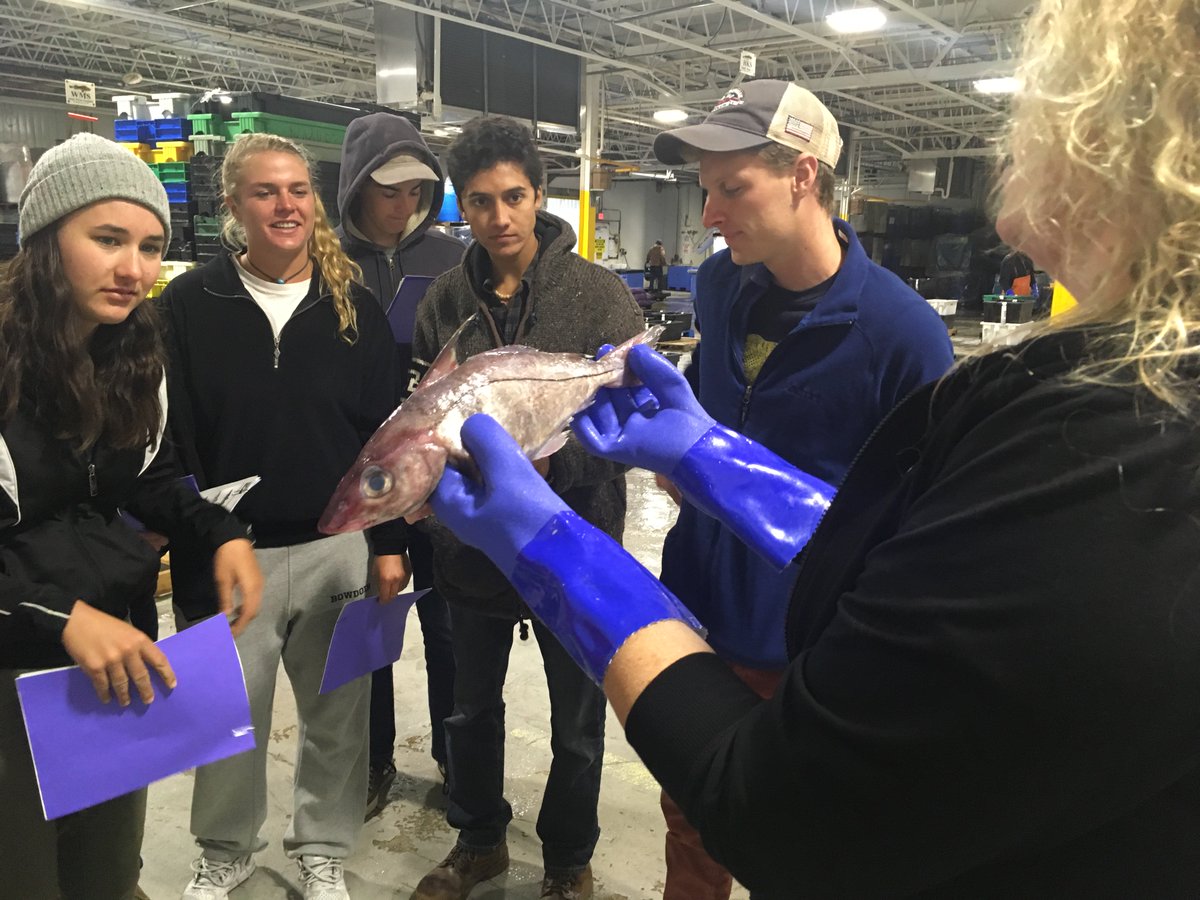 bowdoinscsc's tweet photo. #BMSS2017 visited the Portland Fish Exchange to learn about economics of marine science. TYJodie York for being our guide. #Bowdoincollege https://t.co/9ZAu6dMbzN
