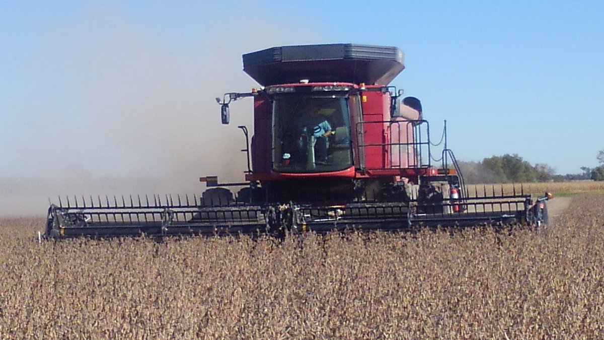 FarmerColeA's tweet photo. Harvesting a current GH leader GH2981X and finding the next in the same field @GldnHarvest #acetheacre #soybean #contest https://t.co/QsgBnrwCLu