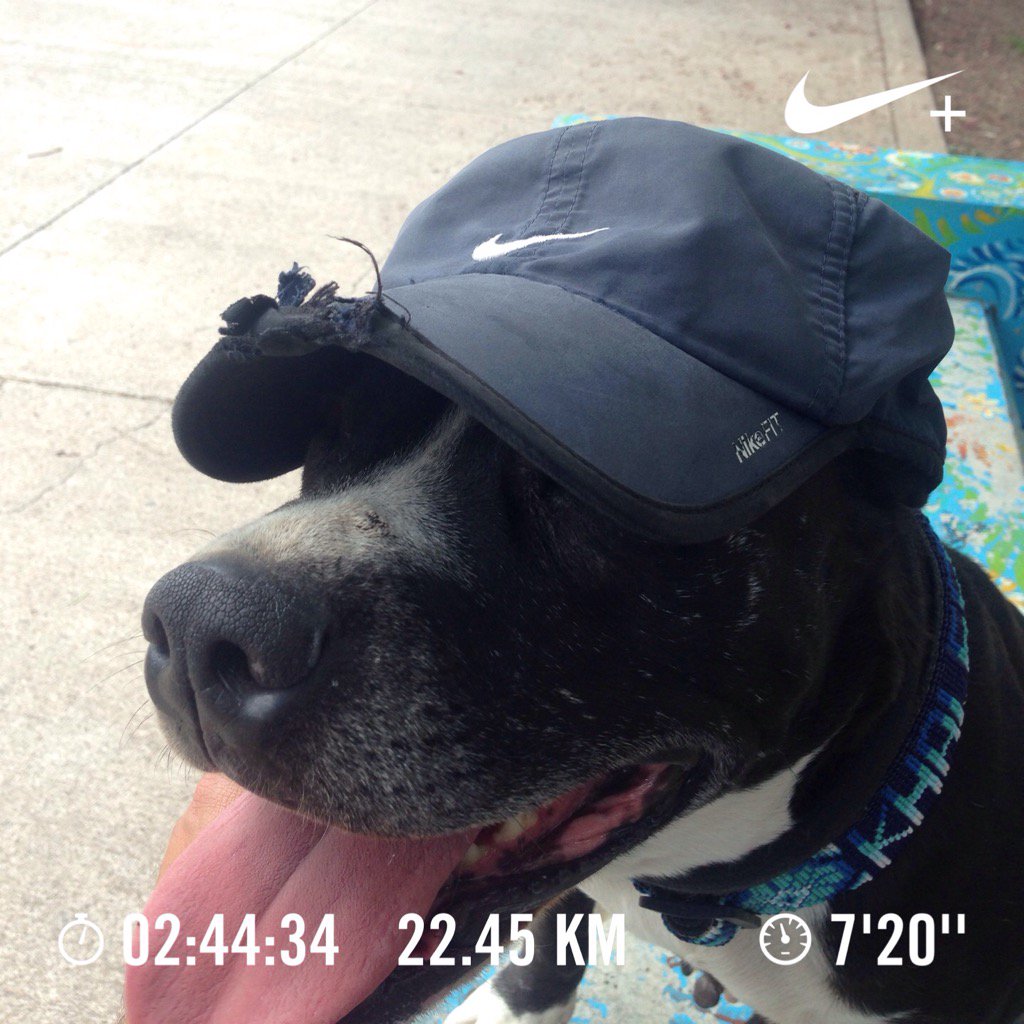 tkk_fsol's tweet photo. #Nike #nikerunningclub #nikerun #nikeplus #nikedogs #run #running #corre #fit #fitness #Aguascalientes #Mexico https://t.co/AMc4M54p0R