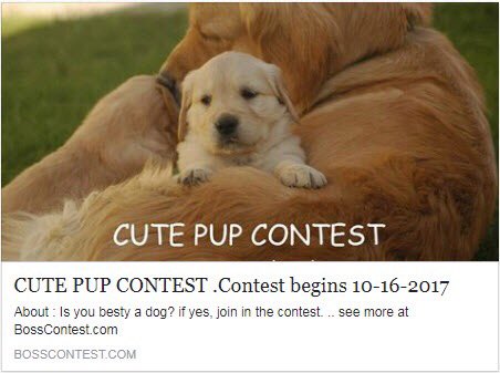 BossContest's tweet image. Join in and show your cute pup. At BossContest.com #dog #puppy #photocontest #photography #bestbuddy #hikingbuddy #buddy #lovedogs