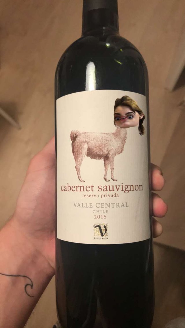 Eva Wilhelm Eva Wilhelm01 Twitter