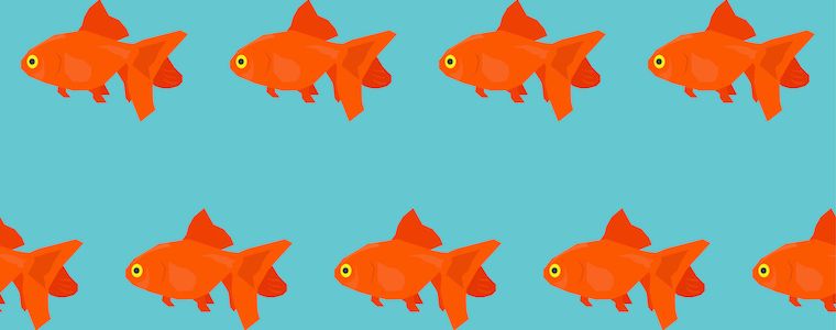 qcontent_agency's tweet image. How to create content for short attention spans &amp;gt;&amp;gt;  buff.ly/2ytxYpI #BespokeBlog #ContentMarketing #ContentCreation