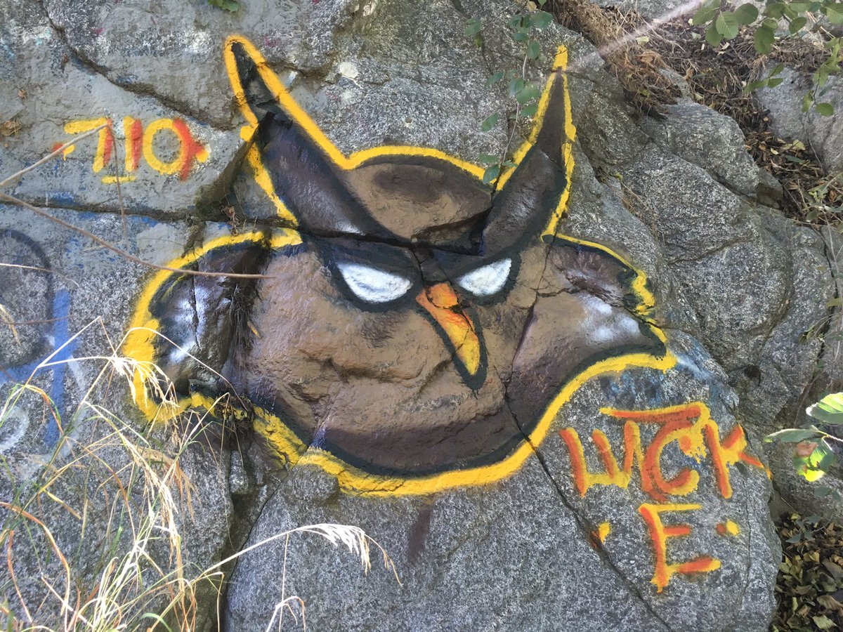 LuckeOne1's tweet photo. A lil hiking #owl #graffiti #luckeone #710c # https://t.co/1QAmJrufuN