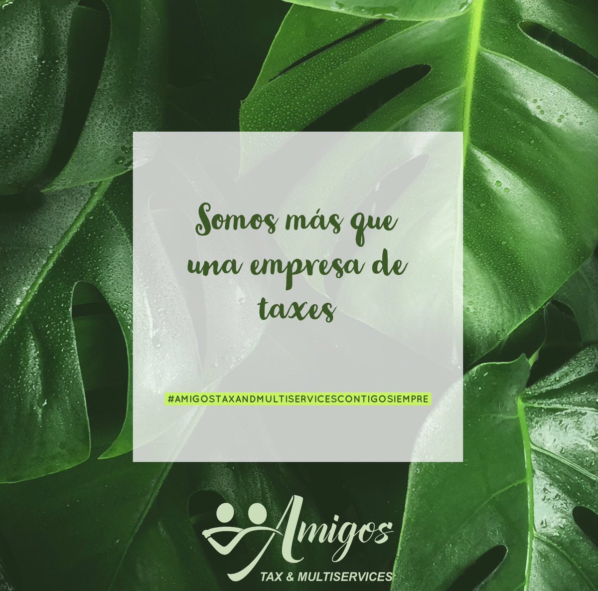 amigostaxes's tweet photo. #itin #taxes #impuestos #follo4follo #FolloForFolloBack #follome #follow #ar #arksansas https://t.co/j6F5aWWRUl