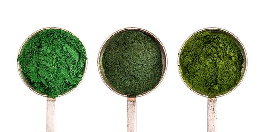 vytogo's tweet photo. 🌿🌿 Everyone's buzzing about Moringa &amp; Chlorella &amp; it's exactly WHY we've included it in every bag of Vytogo! 🌿🌿

https://t.co/bFhjHazUg5 https://t.co/oYn5duDFxj
