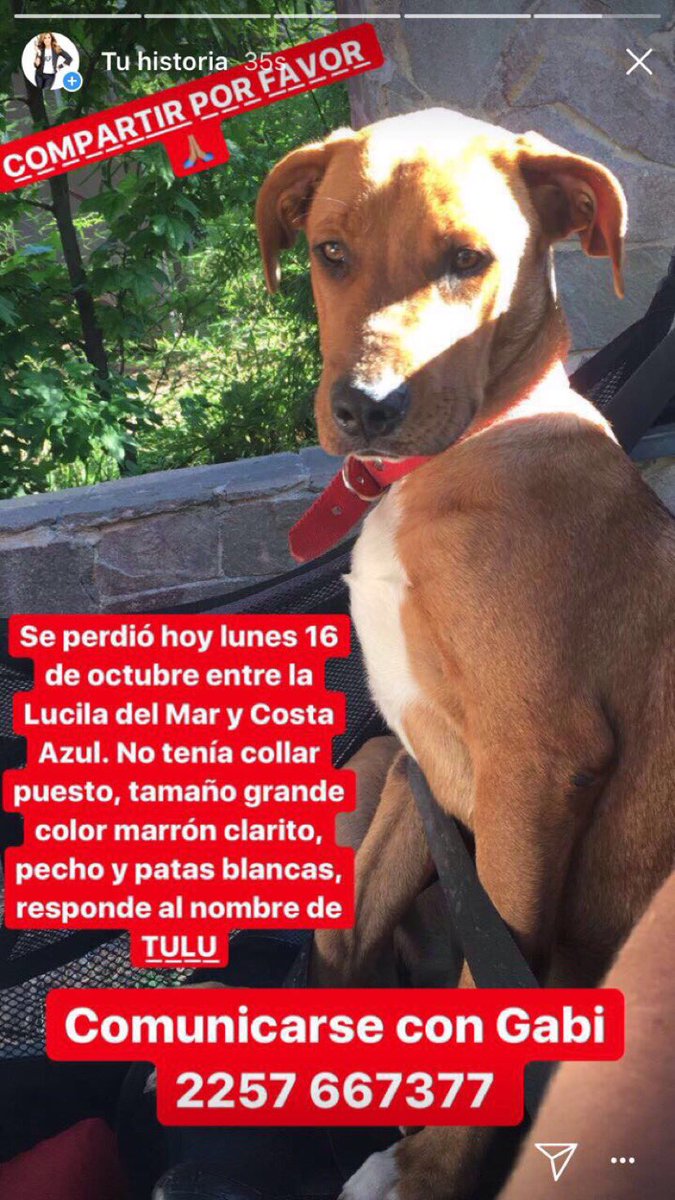 Ayudemoslo a volver a casa!!!