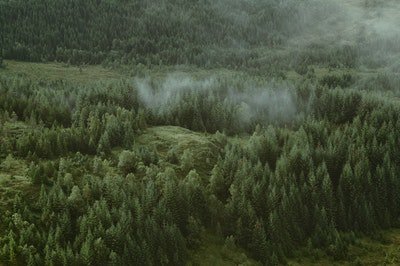theequinechiro's tweet photo. Photo By Matthias Heil | Unsplash 
 #fitness #fitnessmotivation #fitnessmodel #fitnessaddict #fitnessjourney https://t.co/8CrZ0EsL2X