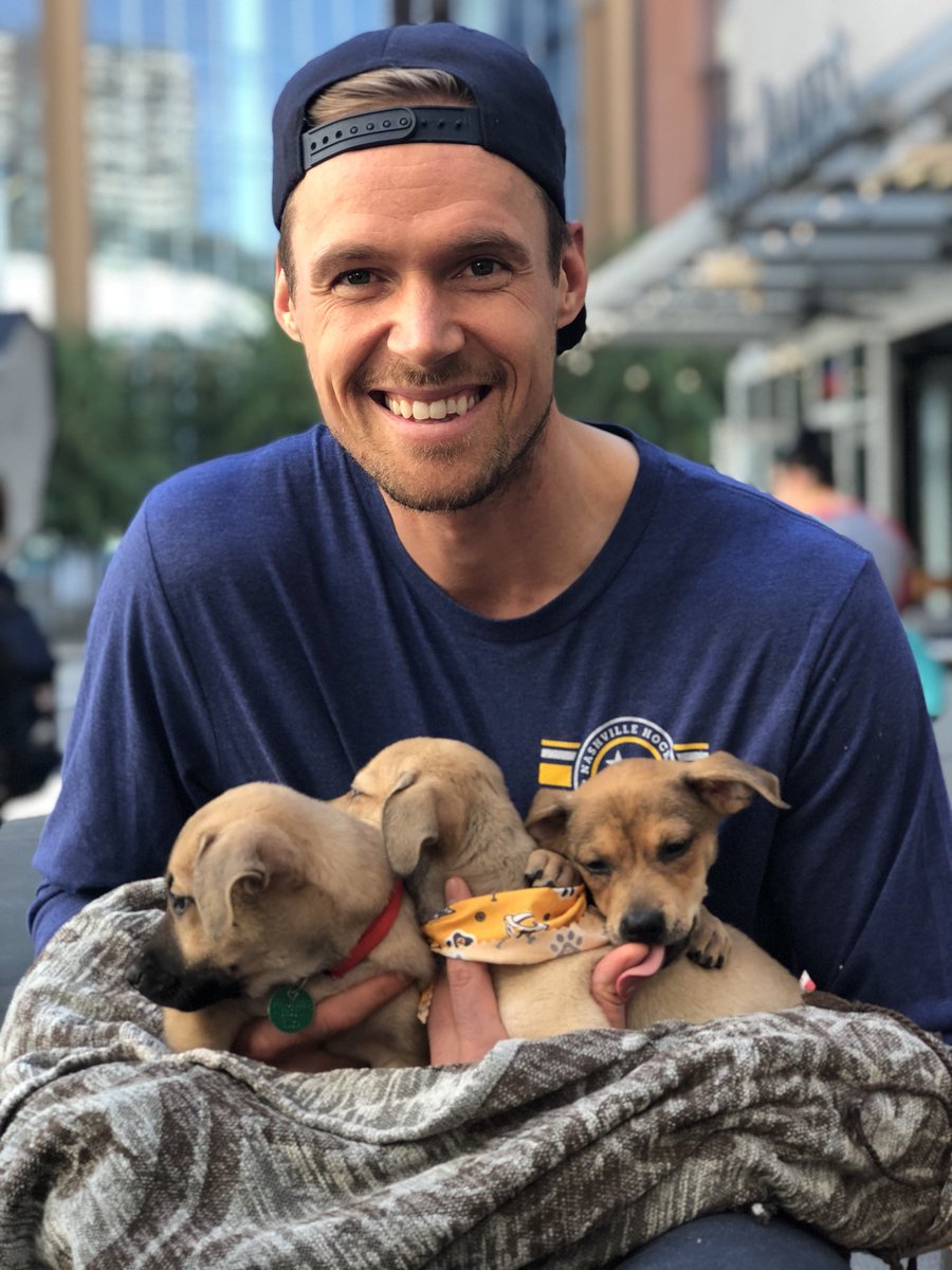 PredsNHL's tweet photo. Best Monday ever 🐶💛 https://t.co/W4ciwSgM27