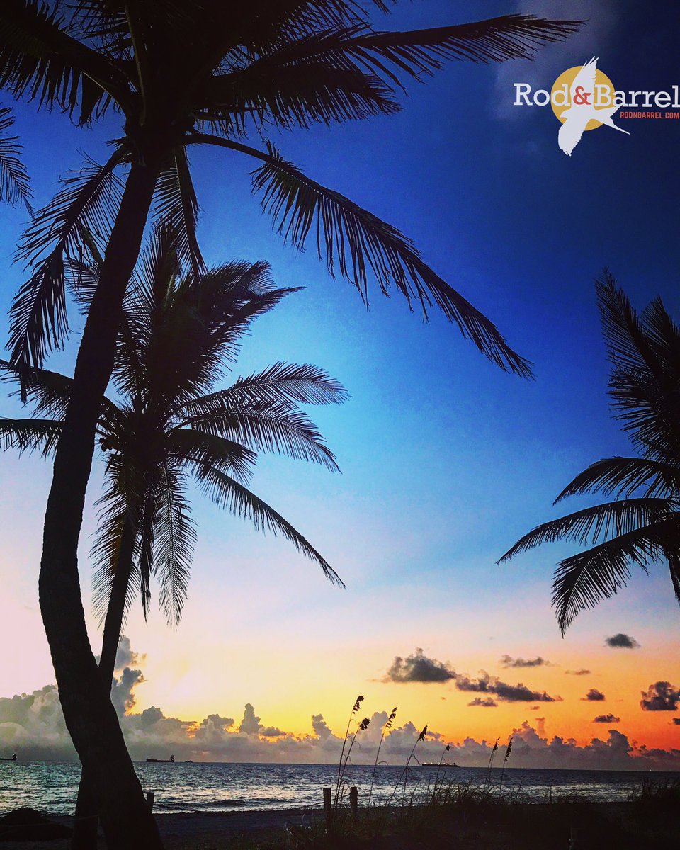 RodnBarrel's tweet photo. Views like this made all the better when viewed through a pair of #skeletonoptics available on https://t.co/T7XhwBDA2A #sunrise #sunglasses https://t.co/FOcRObIvtH