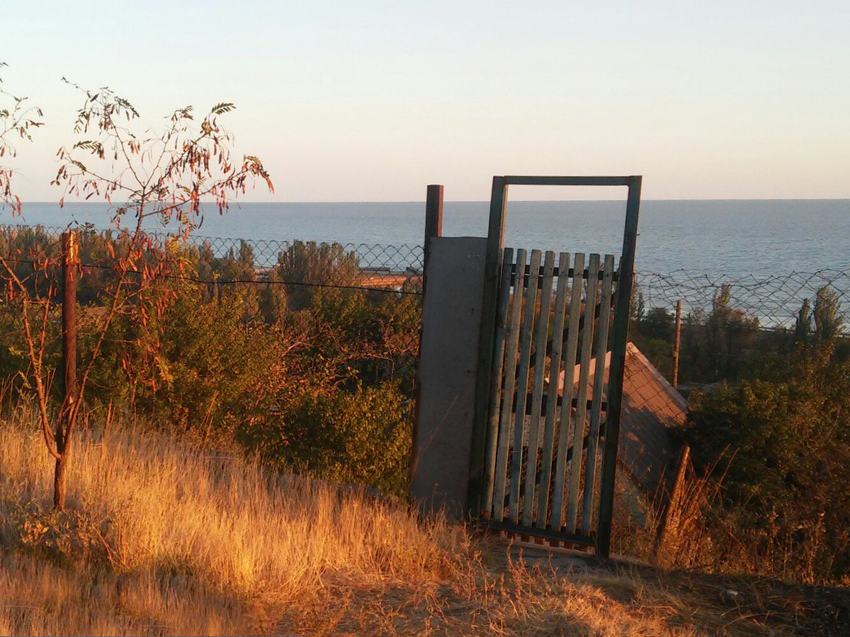 MIgorIv's tweet image. 