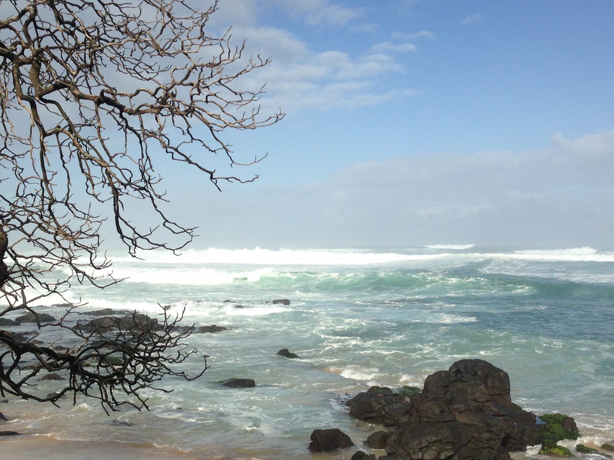 AckermanBooks's tweet photo. Surf is up, first whale sightings, 60 degrees...feeling like #NorthShore winter is here! #ChunsReef #SurfSeason https://t.co/utkMkgzEvm
