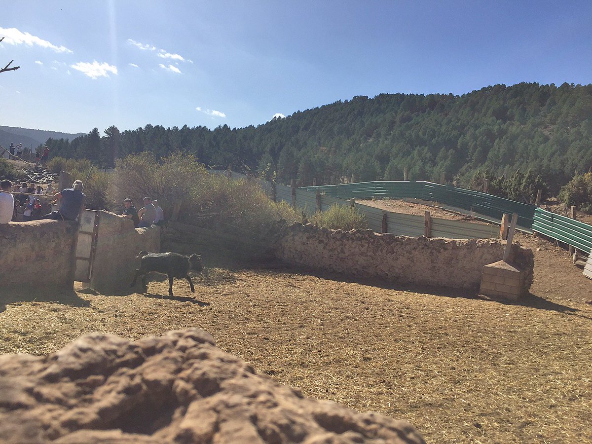 cultorocom's tweet photo. Entre las provincias de Cuenca y Teruel se encuentra el valle de Valtablao, un auténtico paraíso santacolomeño https://t.co/QbHVQeJnBw https://t.co/8wMXt1CLUT