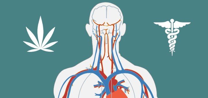 rosinhouse's tweet photo. The #endocannabinoid system plays a role in many of our bodies basic functions-making for amazing #healingpotential https://t.co/n44zSHy2IO https://t.co/LV8BAt8xy5