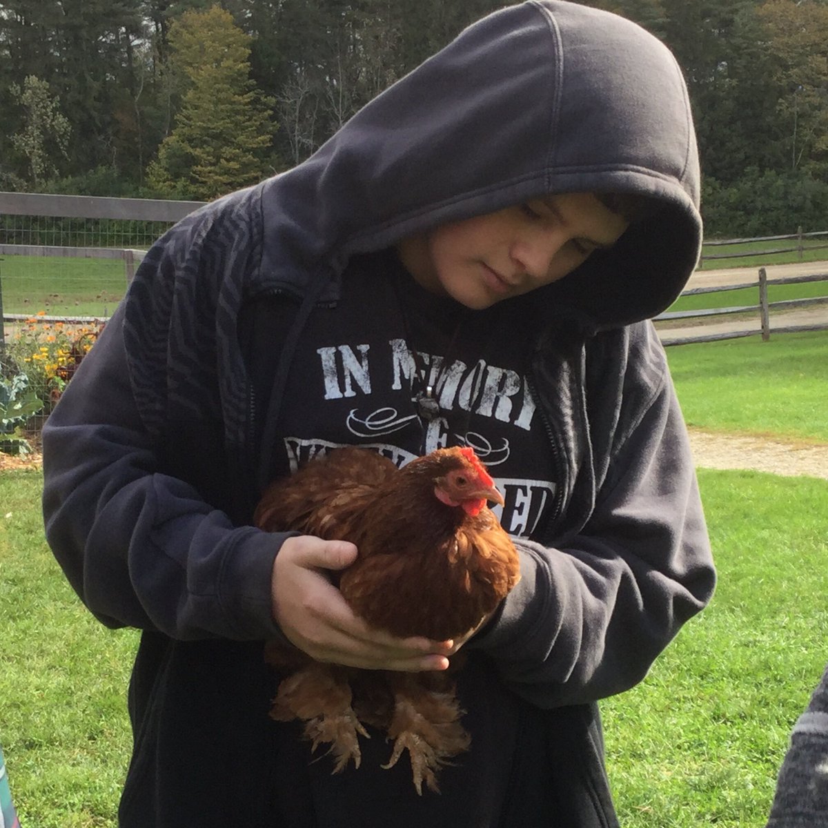 JosephaAustin's tweet photo. @BTVSchools Shelburne Farms visit with OnTop https://t.co/505eD9k0mZ