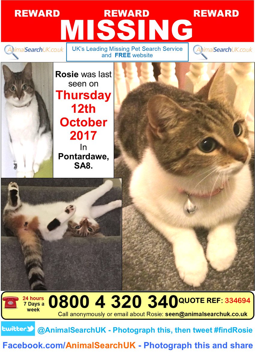 PLZ RT <a href="/Swanseacats/">Swansea Cats</a> <a href="/SwanseaNeuter/">Protect Your Cat</a> <a href="/WalesOnline/">WalesOnline 🏴󠁧󠁢󠁷󠁬󠁳󠁿</a> #MISSINGCAT #PONTADARE #SWANSEA #sa8 #FINDROSIE
animalsearchuk.co.uk/ALP334694