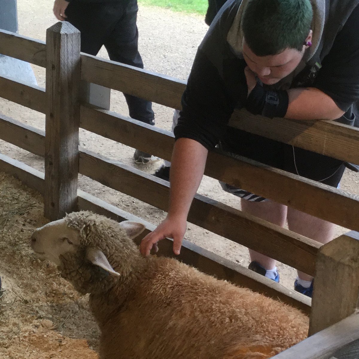 JosephaAustin's tweet photo. @BTVSchools OnTop visit to Shelburne Farms for some cheesemaking. https://t.co/W4t3HwedSK