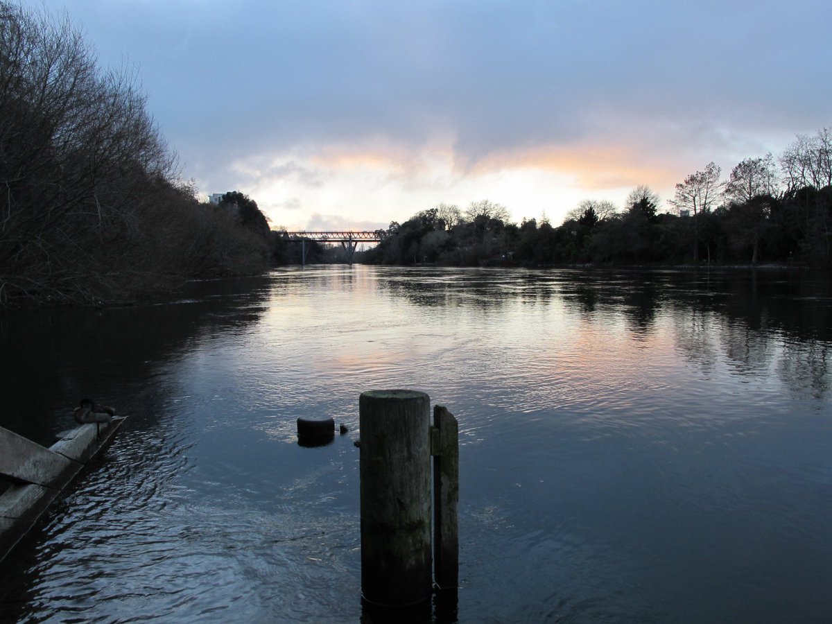 MyGuideNZ's tweet photo. An evening by #Waikato River in #Hamilton #nzmustsee #NewZealand #myguidetips https://t.co/rKgmpmvVAp