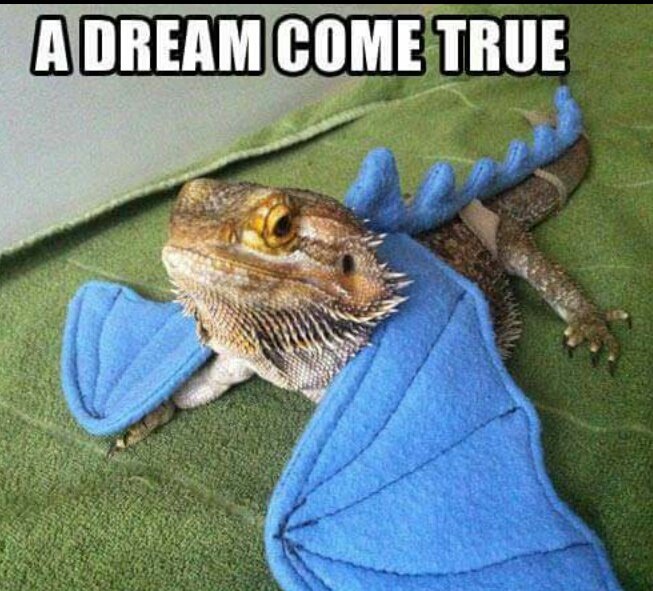 Just casually found a picture of @WH_Viserys