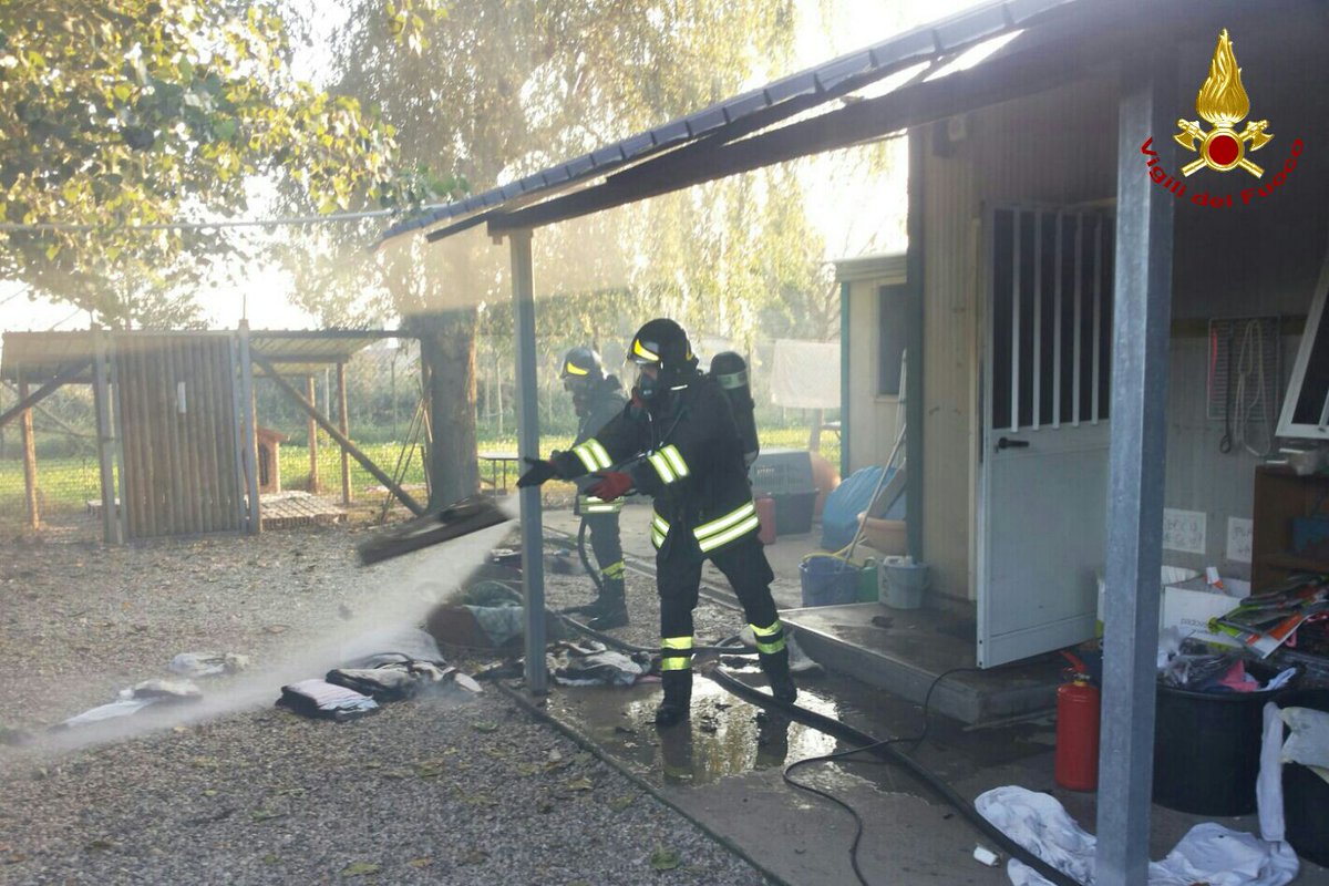 vvfveneto's tweet photo. #16ott 1700 #Monselice(PD), incendio container canile: due persone assistite @SUEM_Veneto incendio spento #vigilidelfuoco animali salvi https://t.co/AMBriWXAjP